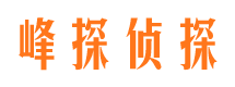 吉林市市婚外情调查